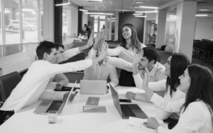 Resiliencia organizacional